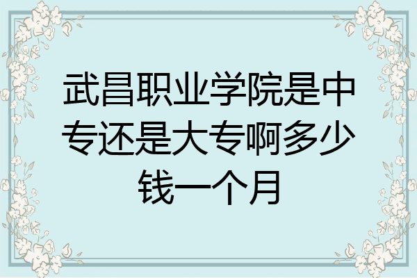 武昌职业学院是中专还是大专啊多少钱一个月