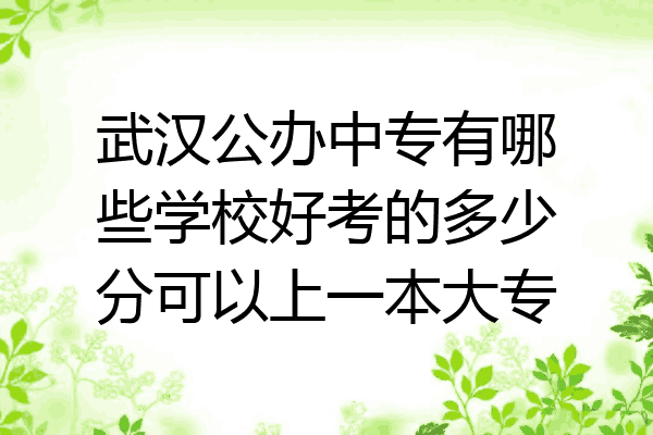 武汉公办中专有哪些学校好考的多少分可以上一本大专