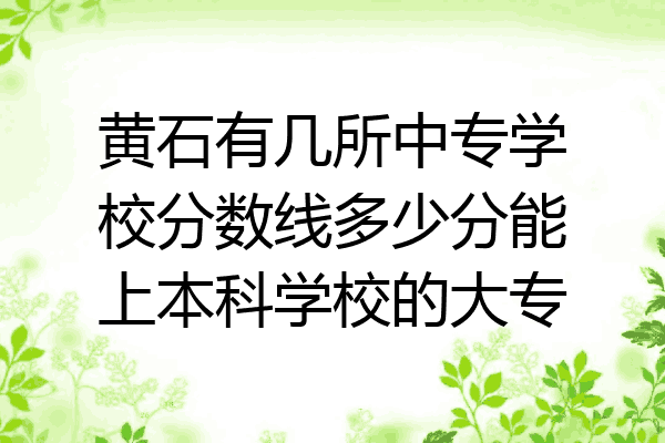 黄石有几所中专学校分数线多少分能上本科学校的大专