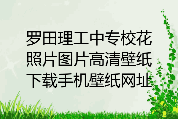 罗田理工中专校花照片图片高清壁纸下载手机壁纸网址