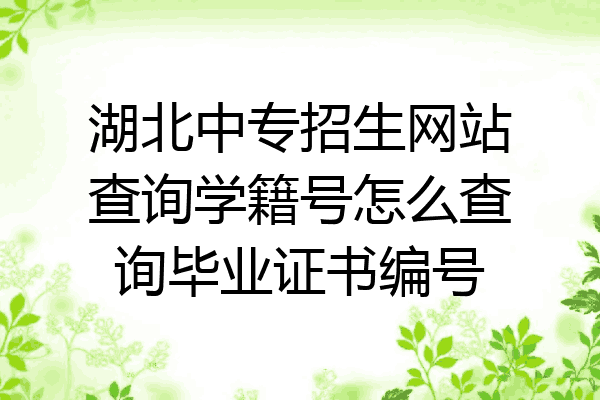 湖北中专招生网站查询学籍号怎么查询毕业证书编号
