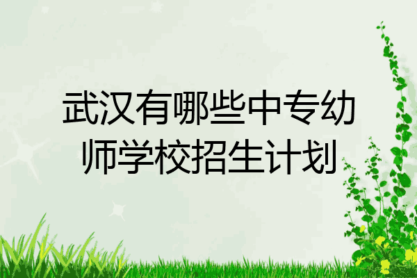 武汉有哪些中专幼师学校招生计划