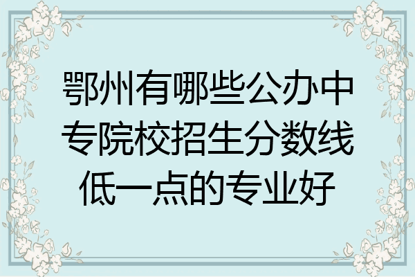 鄂州有哪些公办中专院校招生分数线低一点的专业好
