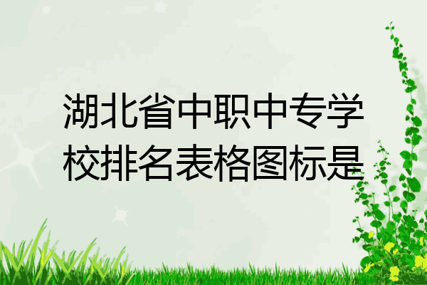 湖北省中职中专学校排名表格图标是
