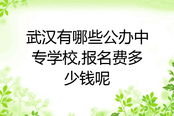 武汉有哪些公办中专学校,报名费多少钱呢