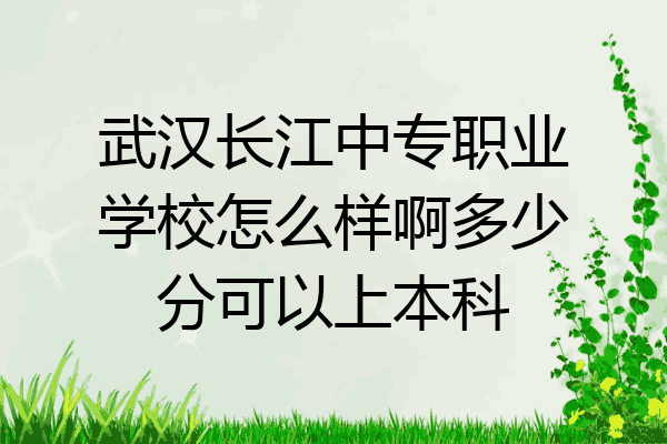 武汉长江中专职业学校怎么样啊多少分可以上本科
