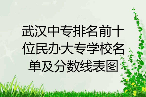 武汉中专排名前十位民办大专学校名单及分数线表图