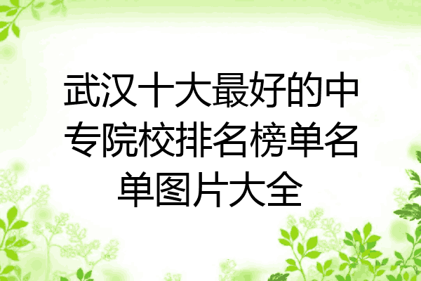 武汉十大最好的中专院校排名榜单名单图片大全