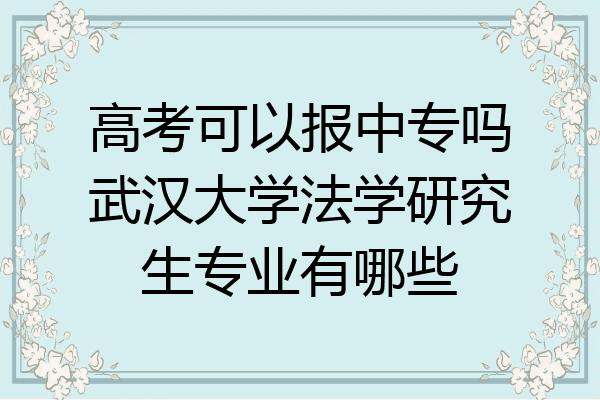 高考可以报中专吗武汉大学法学研究生专业有哪些