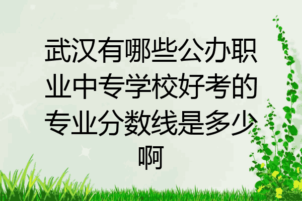 武汉有哪些公办职业中专学校好考的专业分数线是多少啊
