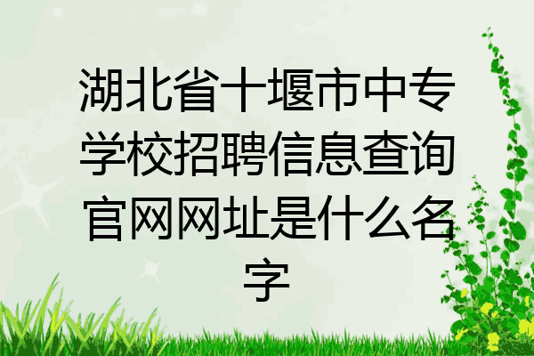 湖北省十堰市中专学校招聘信息查询官网网址是什么名字