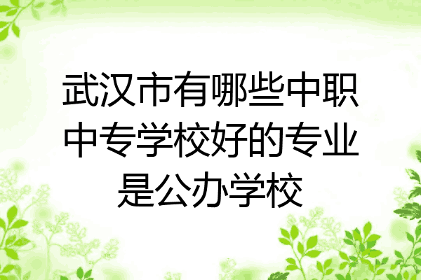 武汉市有哪些中职中专学校好的专业是公办学校