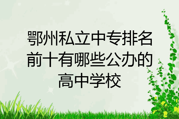 鄂州私立中专排名前十有哪些公办的高中学校