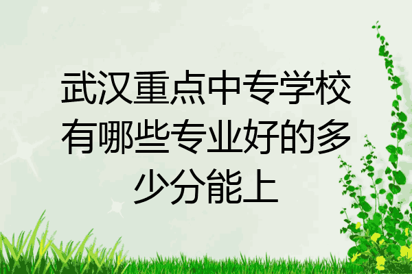 武汉重点中专学校有哪些专业好的多少分能上