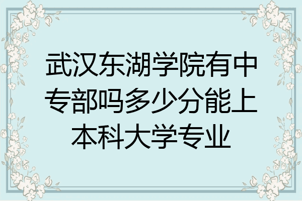 武汉东湖学院有中专部吗多少分能上本科大学专业