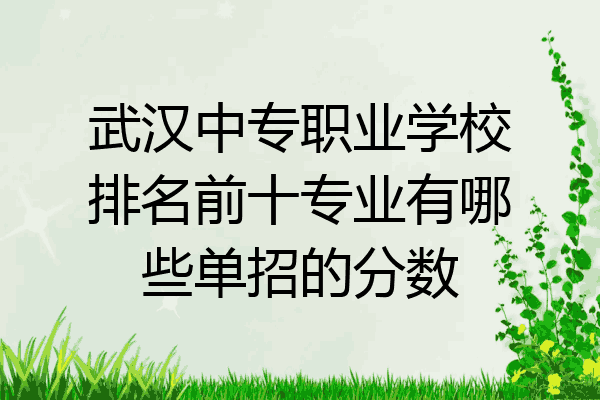 武汉中专职业学校排名前十专业有哪些单招的分数