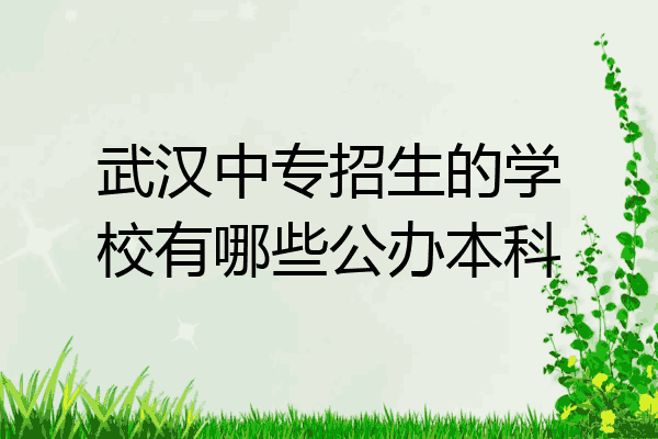武汉中专招生的学校有哪些公办本科