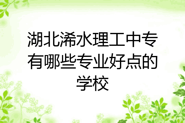 湖北浠水理工中专有哪些专业好点的学校