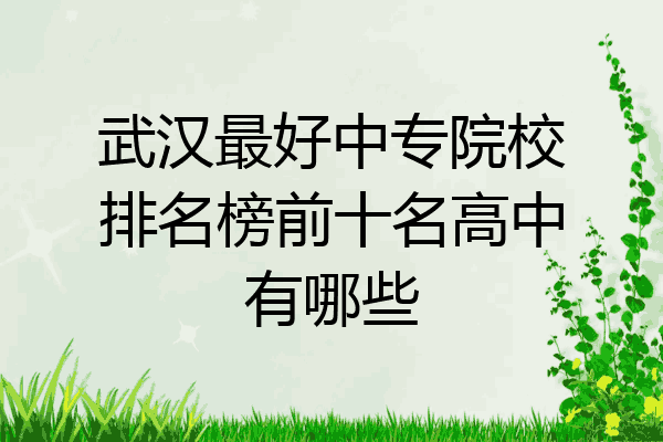 武汉最好中专院校排名榜前十名高中有哪些