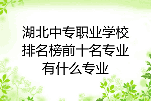 湖北中专职业学校排名榜前十名专业有什么专业
