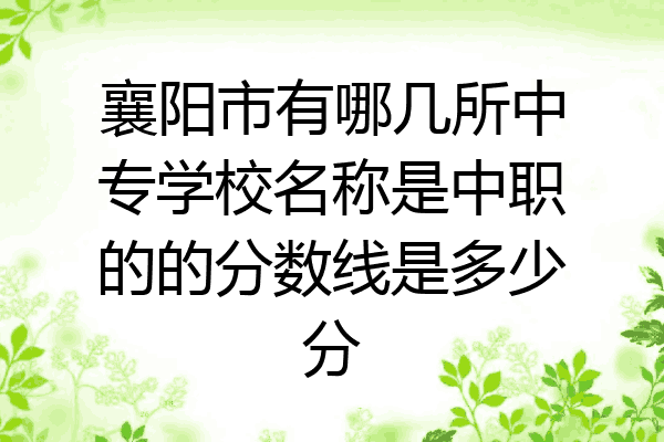 襄阳市有哪几所中专学校名称是中职的的分数线是多少分