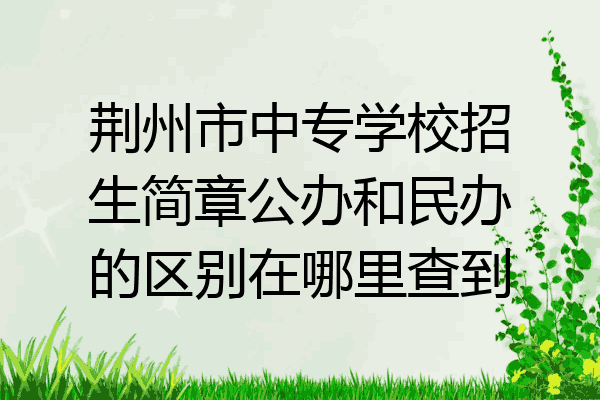荆州市中专学校招生简章公办和民办的区别在哪里查到