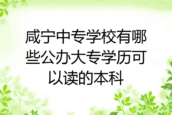 咸宁中专学校有哪些公办大专学历可以读的本科