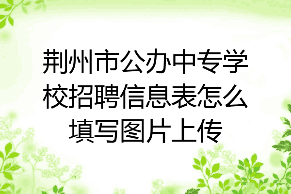 荆州市公办中专学校招聘信息表怎么填写图片上传