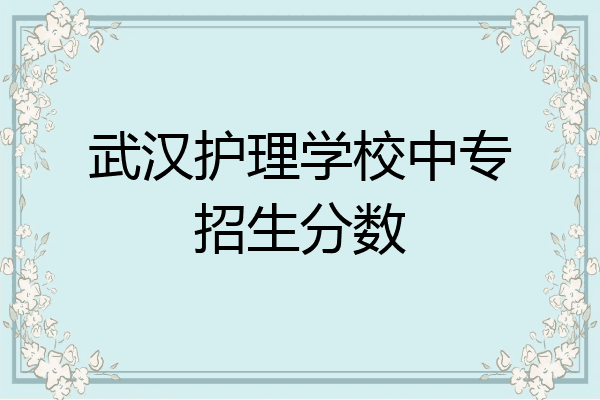 武汉护理学校中专招生分数