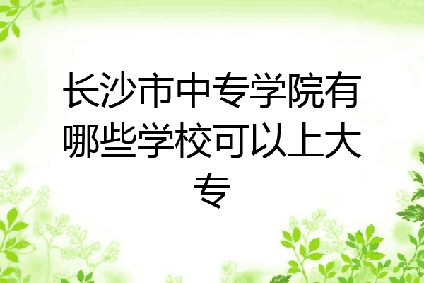 长沙市中专学院有哪些学校可以上大专