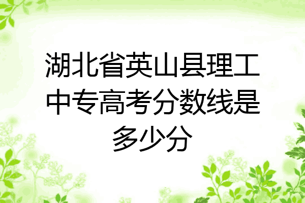 湖北省英山县理工中专高考分数线是多少分