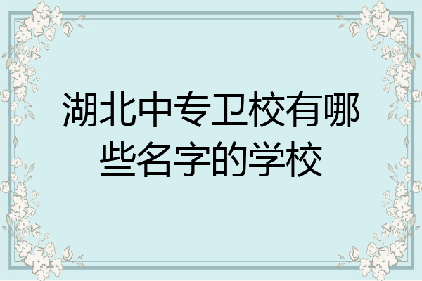 湖北中专卫校有哪些名字的学校