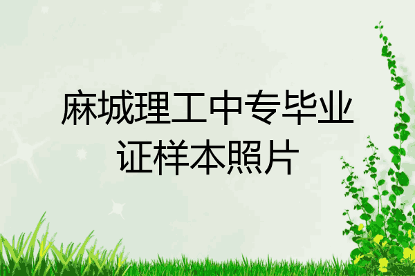麻城理工中专毕业证样本照片