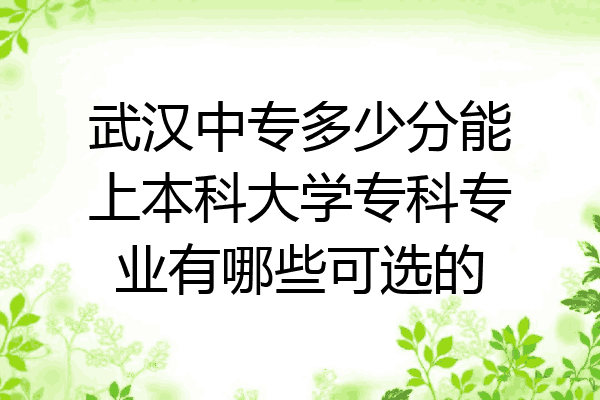 武汉中专多少分能上本科大学专科专业有哪些可选的