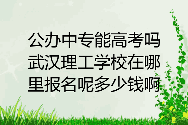 公办中专能高考吗武汉理工学校在哪里报名呢多少钱啊