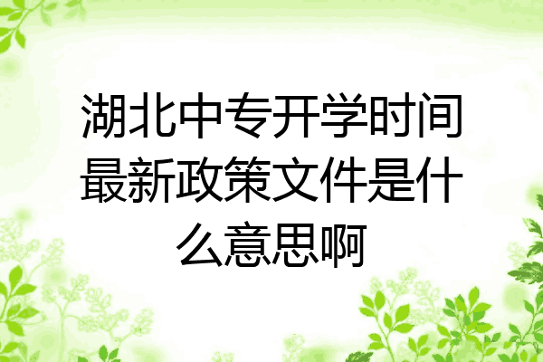 湖北中专开学时间最新政策文件是什么意思啊