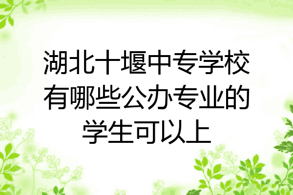 湖北十堰中专学校有哪些公办专业的学生可以上