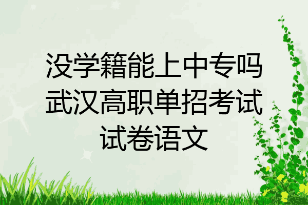 没学籍能上中专吗武汉高职单招考试试卷语文