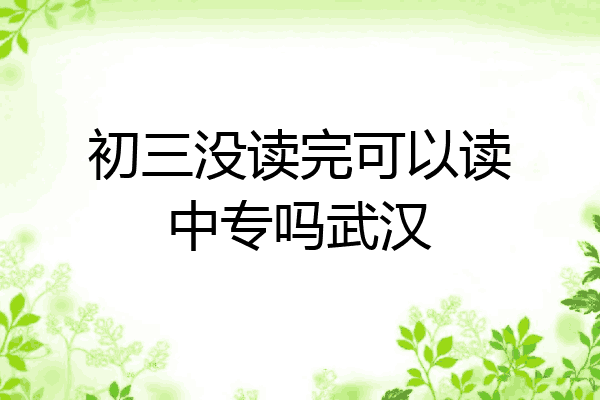初三没读完可以读中专吗武汉