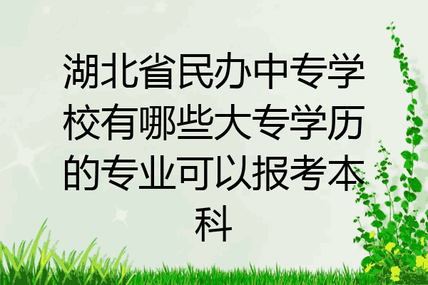 湖北省民办中专学校有哪些大专学历的专业可以报考本科