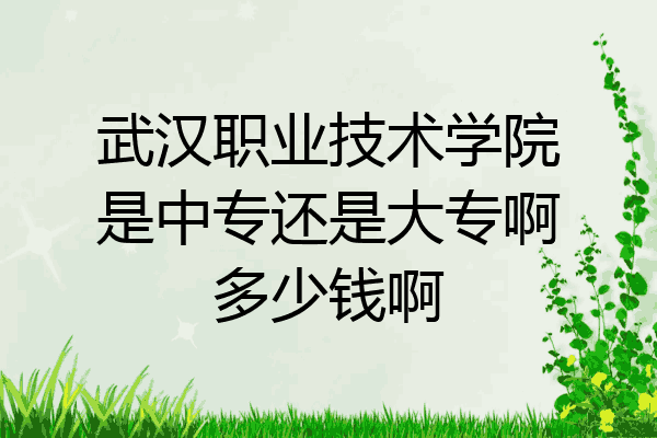 武汉职业技术学院是中专还是大专啊多少钱啊