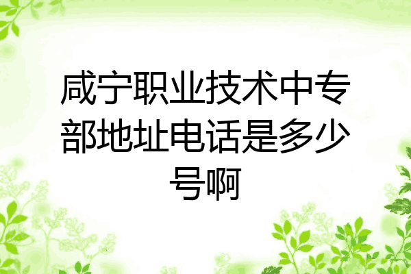 咸宁职业技术中专部地址电话是多少号啊
