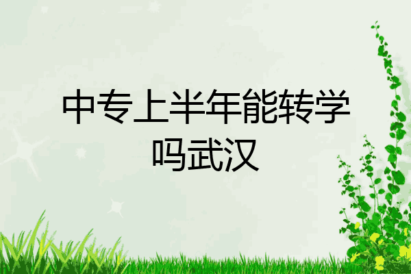 中专上半年能转学吗武汉