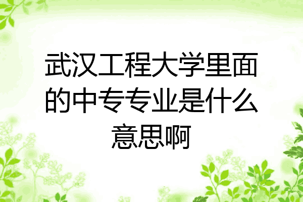 武汉工程大学里面的中专专业是什么意思啊