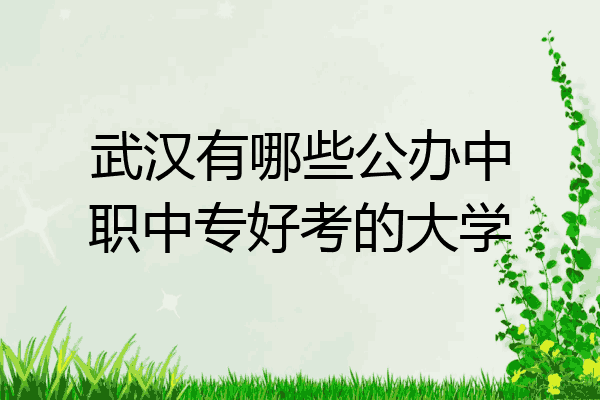 武汉有哪些公办中职中专好考的大学