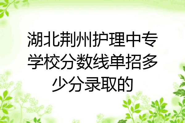 湖北荆州护理中专学校分数线单招多少分录取的