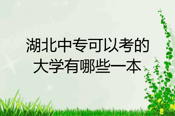 湖北中专可以考的大学有哪些一本