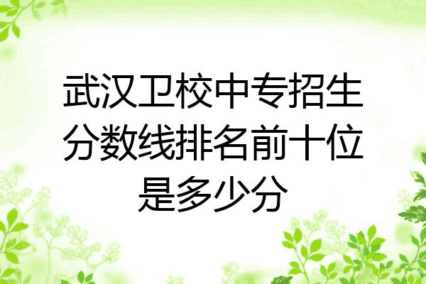 武汉卫校中专招生分数线排名前十位是多少分