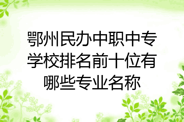 鄂州民办中职中专学校排名前十位有哪些专业名称