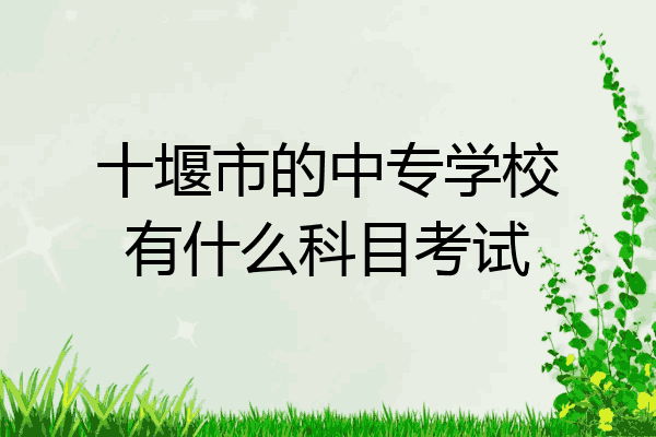 十堰市的中专学校有什么科目考试